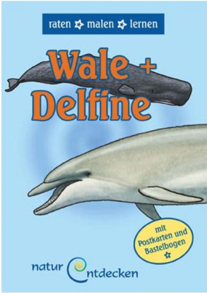 Wale und Delfine  (Block A6)